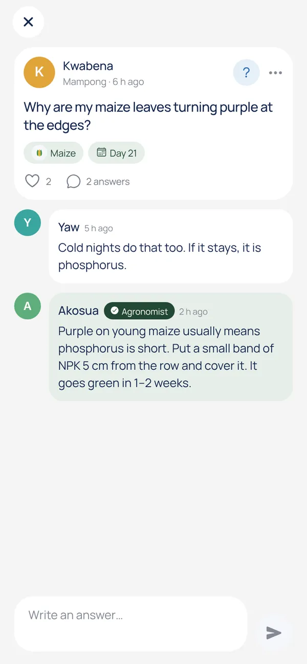 A question about purple maize leaves, with an answer marked Agronomist
