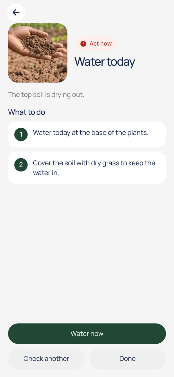 Soil check answer: water today, at the base of the plants
