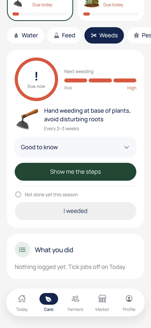 Weeds: next weeding due, and how to weed around the plants